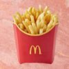 mcdonald's fries