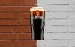 pint of guinness