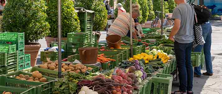 people looking at fresh fruits and vegetables at a local market