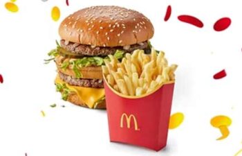 mcdonald's burger and fries