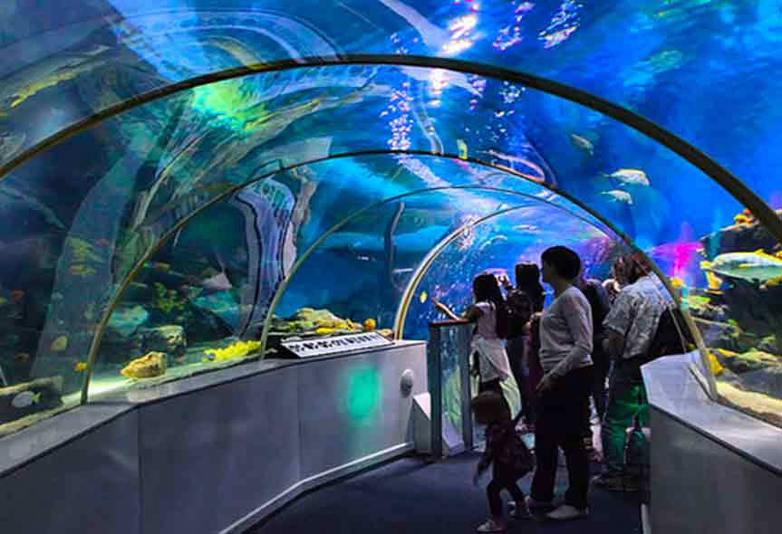 SEA LIFE Centre Student Discount and Offers 2022 - Save the Student