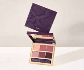 tarte vanity palette